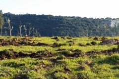 Azienda