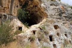 Il territorio