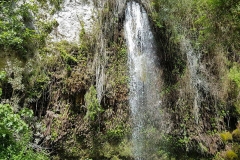 Il territorio